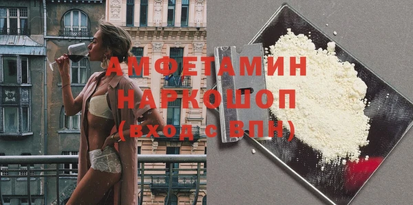 гидра Богородск