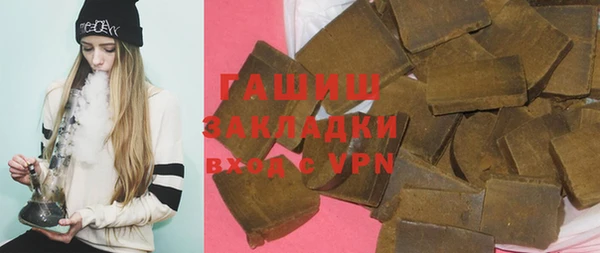 гидра Богородск
