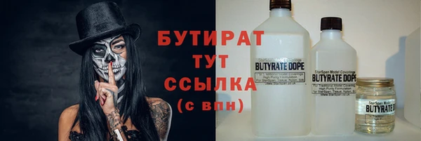 гидра Богданович