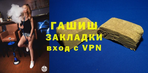 гидра Богородск