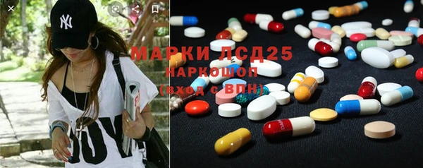 гидра Богданович