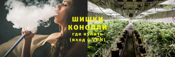 гидра Богородск
