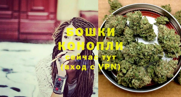 гидра Богданович