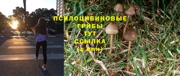 гидра Богданович