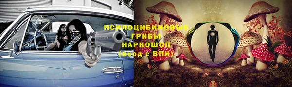 гидра Богданович