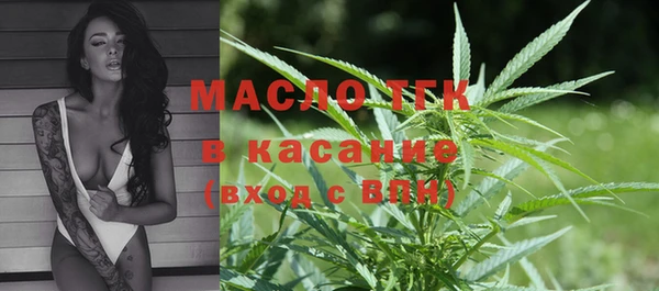 гидра Богданович